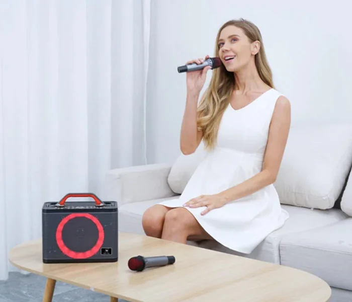 WinBridge T8 Ultra-Portable Karaoke Speaker with Dual Wireless Bluetooth Microphones UAE
