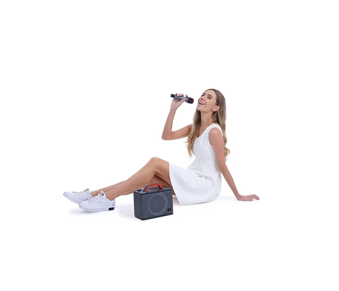 WinBridge T8 Ultra-Portable Karaoke Speaker with Dual Wireless Bluetooth Microphones